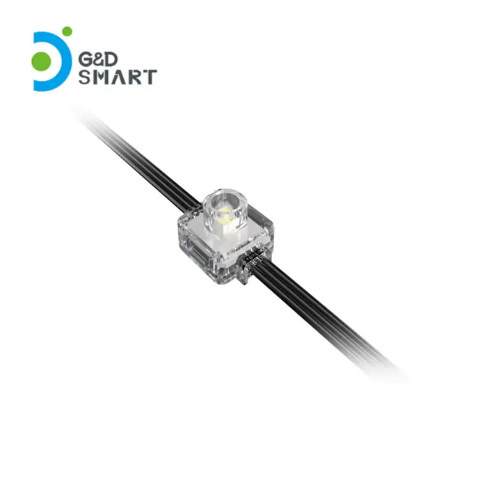 P23A Permanent Outdoor Lights